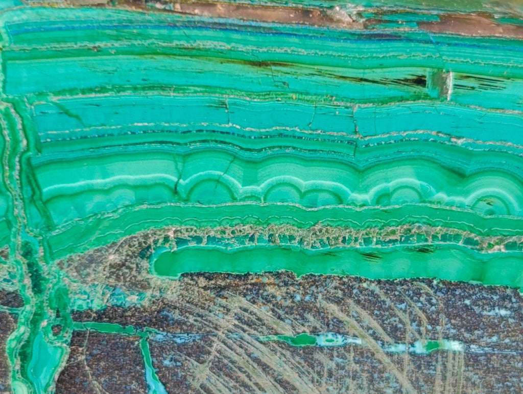 Polished Flower Banded Malachite Free Forms x 6 From Congo - Toprock Gemstones and Minerals 