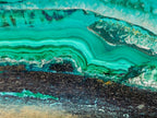 Polished Flower Banded Malachite Free Forms x 6 From Congo - Toprock Gemstones and Minerals 