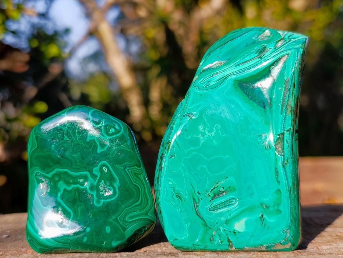 Polished Flower Banded Malachite Free Forms x 6 From Congo - Toprock Gemstones and Minerals 