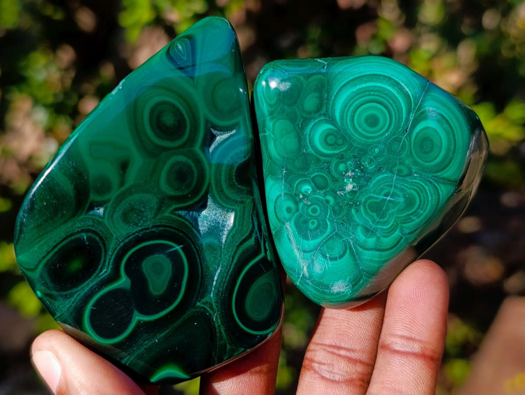 Polished Flower Banded Malachite Free Forms x 6 From Congo - Toprock Gemstones and Minerals 