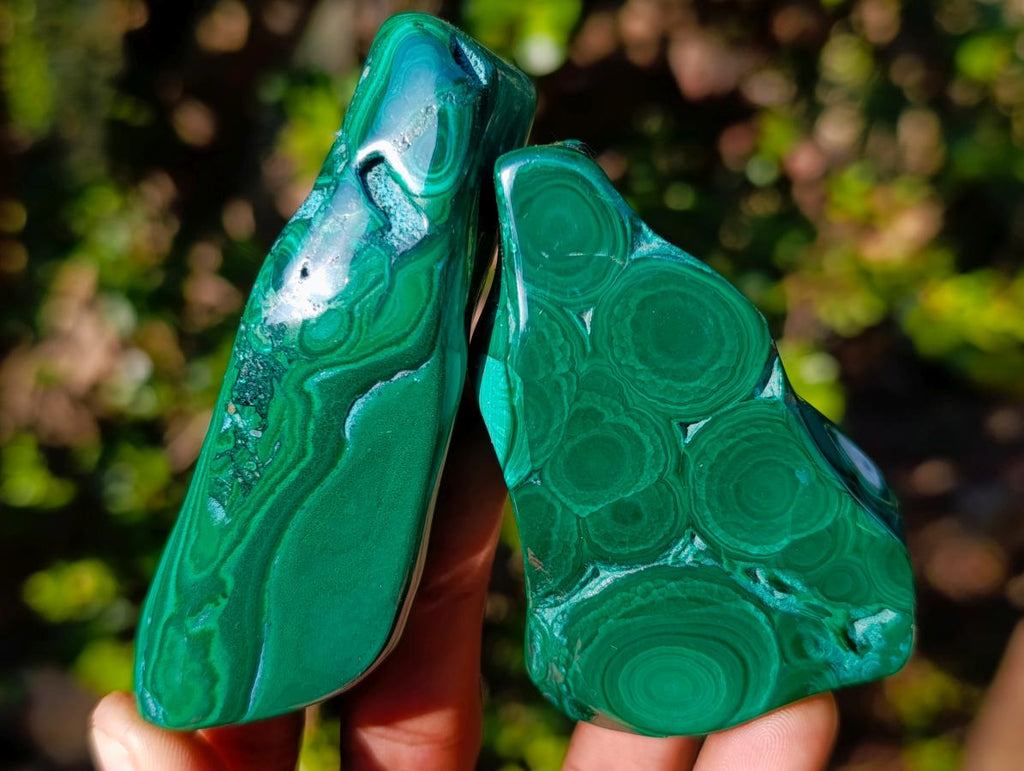 Polished Flower Banded Malachite Free Forms x 6 From Congo - Toprock Gemstones and Minerals 