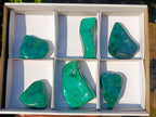 Polished Flower Banded Malachite Free Forms x 6 From Congo - Toprock Gemstones and Minerals 