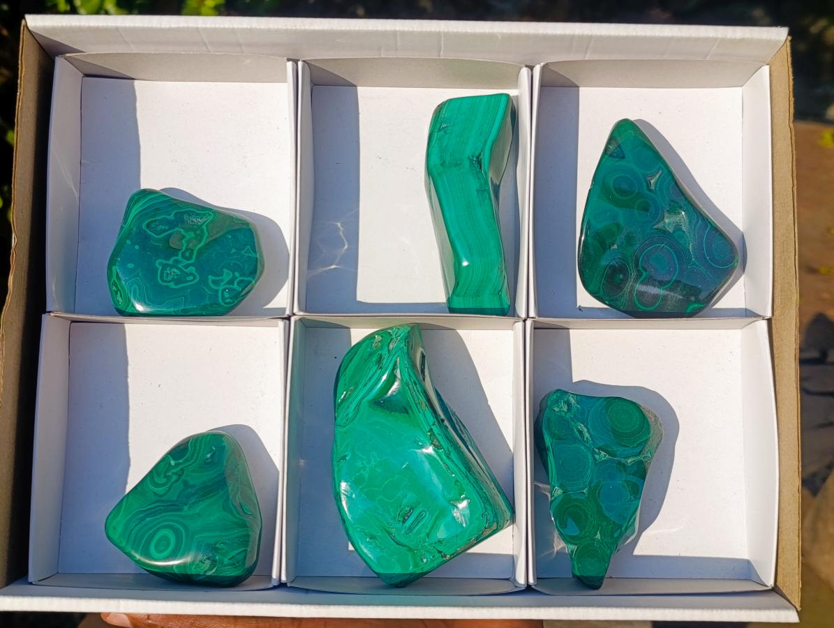 Polished Flower Banded Malachite Free Forms x 6 From Congo - Toprock Gemstones and Minerals 