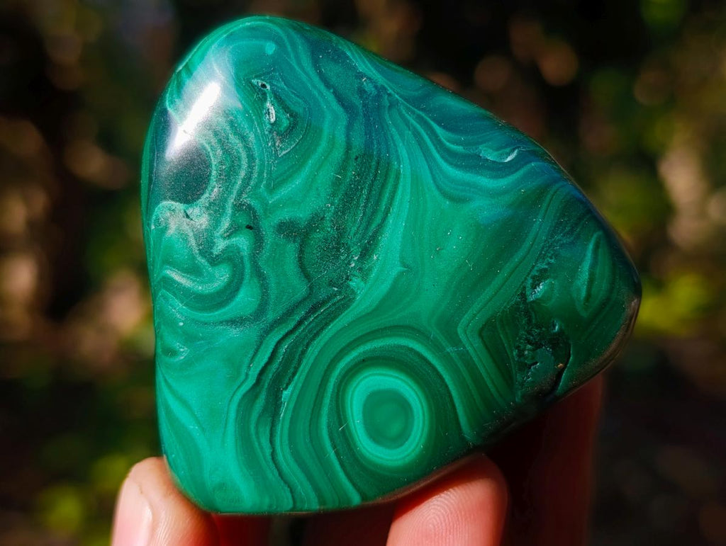 Polished Flower Banded Malachite Free Forms x 6 From Congo - Toprock Gemstones and Minerals 