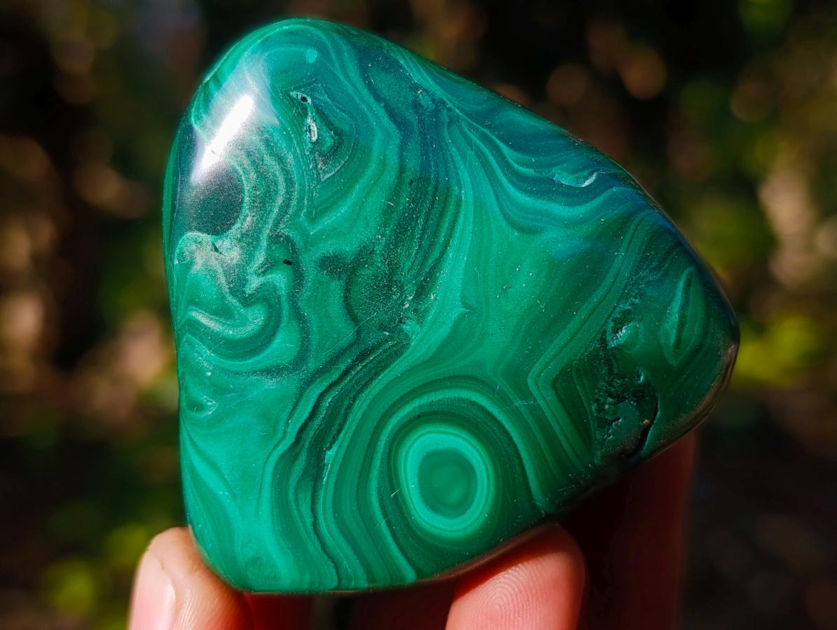 Polished Flower Banded Malachite Free Forms x 6 From Congo - Toprock Gemstones and Minerals 