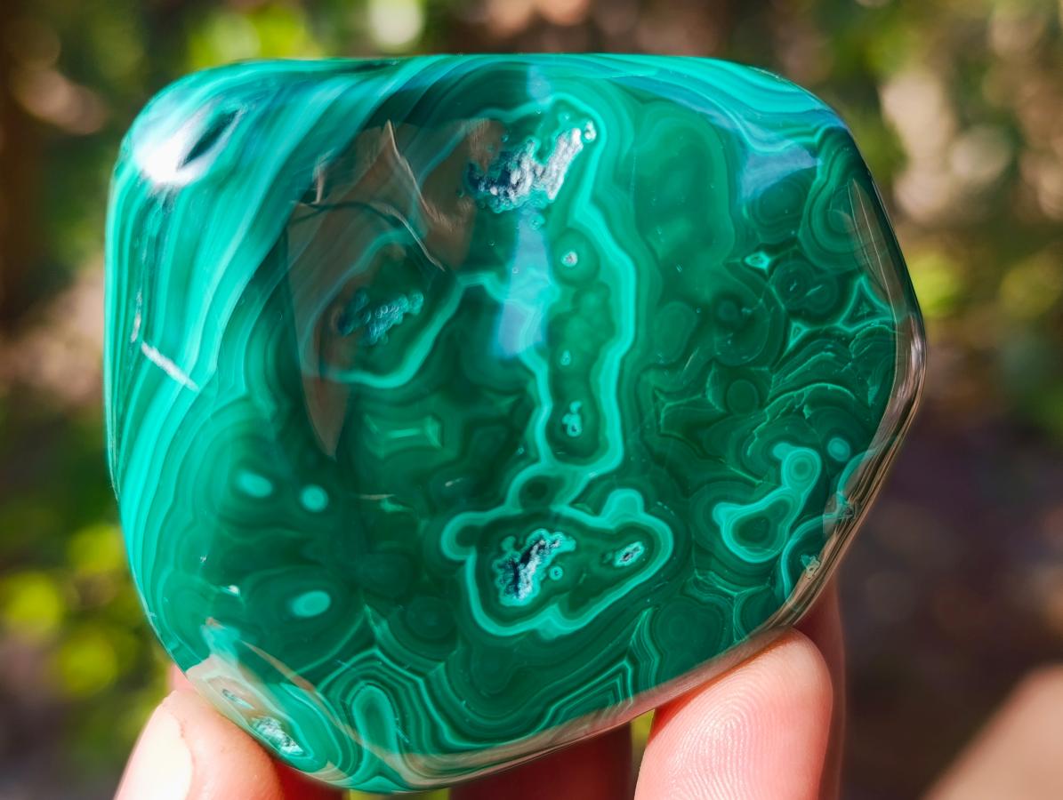Polished Flower Banded Malachite Free Forms x 6 From Congo - Toprock Gemstones and Minerals 