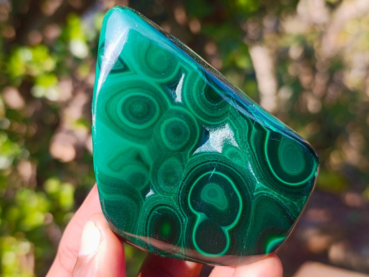 Polished Flower Banded Malachite Free Forms x 6 From Congo - Toprock Gemstones and Minerals 