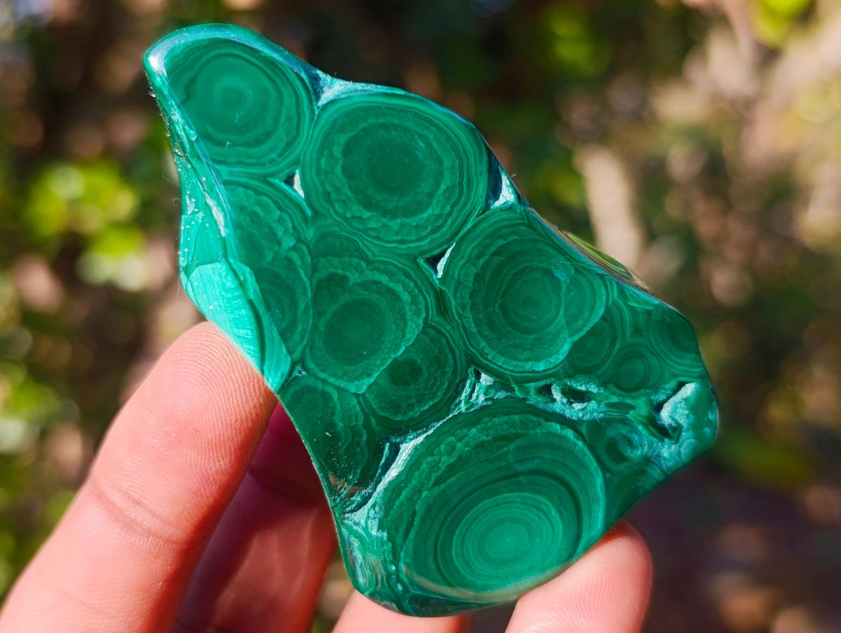 Polished Flower Banded Malachite Free Forms x 6 From Congo - Toprock Gemstones and Minerals 