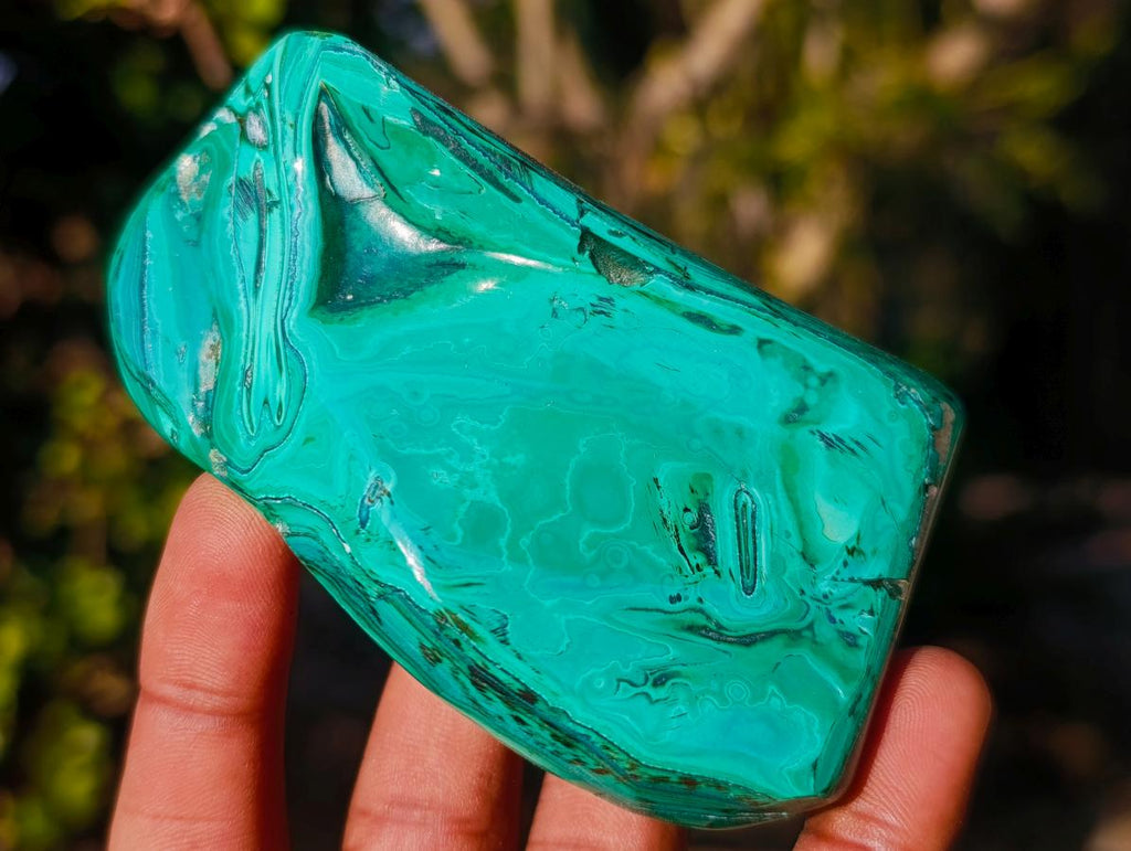 Polished Flower Banded Malachite Free Forms x 6 From Congo - Toprock Gemstones and Minerals 