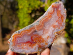 Polished One Side Red Shashe River Agate Slices x 6 From Shashe River, Zimbabwe - Toprock Gemstones and Minerals 
