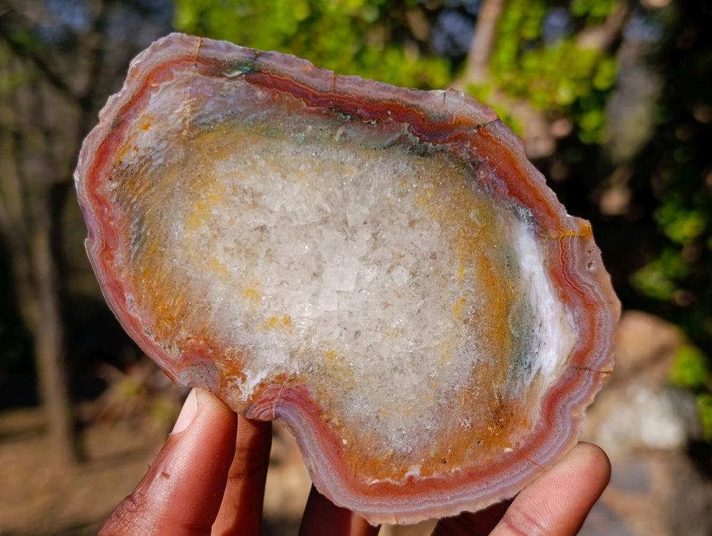 Polished One Side Red Shashe River Agate Slices x 6 From Shashe River, Zimbabwe - Toprock Gemstones and Minerals 