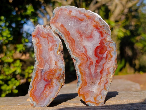 Polished One Side Red Shashe River Agate Slices x 6 From Shashe River, Zimbabwe - Toprock Gemstones and Minerals 