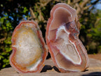 Polished One Side Red Shashe River Agate Slices x 6 From Shashe River, Zimbabwe - Toprock Gemstones and Minerals 