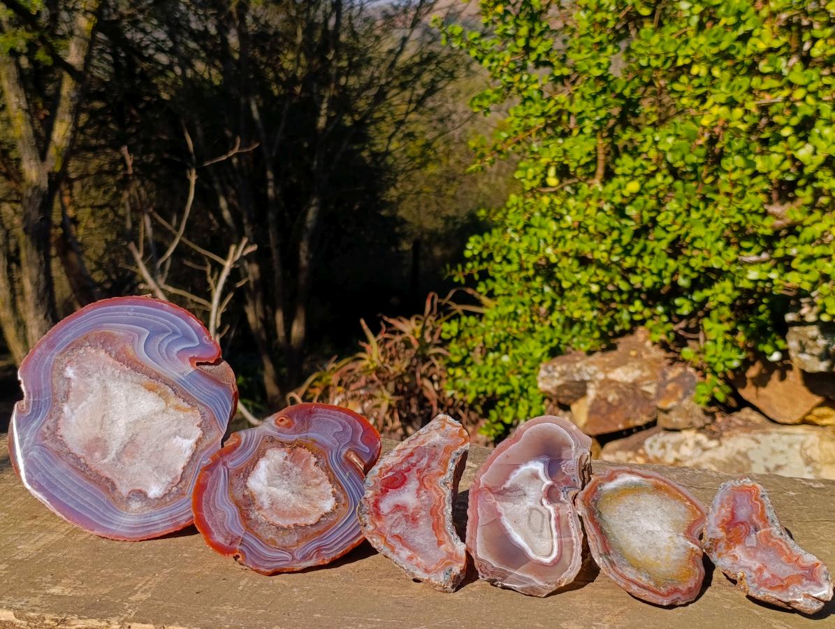 Polished One Side Red Shashe River Agate Slices x 6 From Shashe River, Zimbabwe - Toprock Gemstones and Minerals 