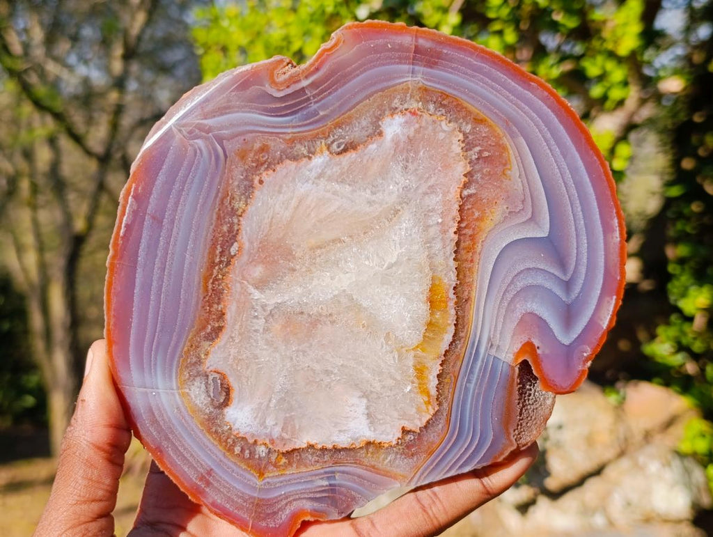 Polished One Side Red Shashe River Agate Slices x 6 From Shashe River, Zimbabwe - Toprock Gemstones and Minerals 