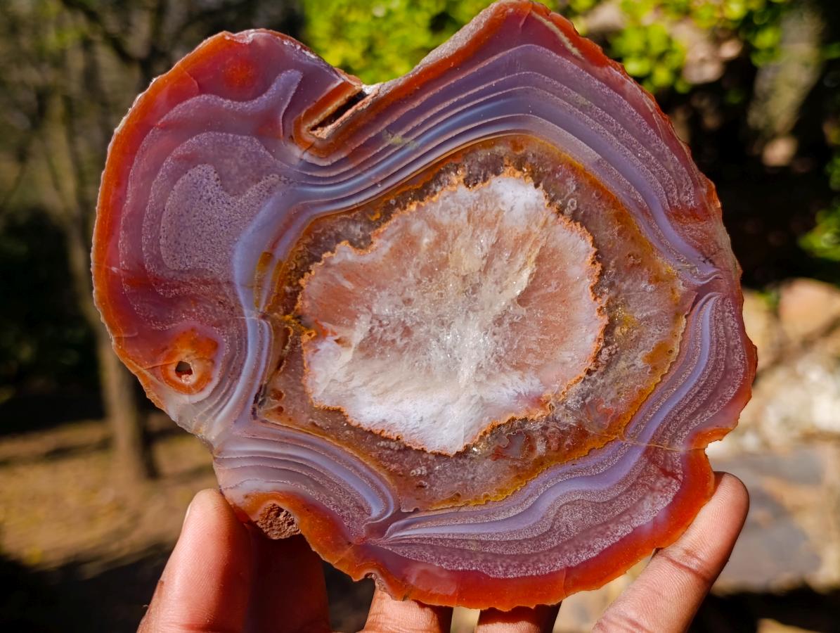 Polished One Side Red Shashe River Agate Slices x 6 From Shashe River, Zimbabwe - Toprock Gemstones and Minerals 
