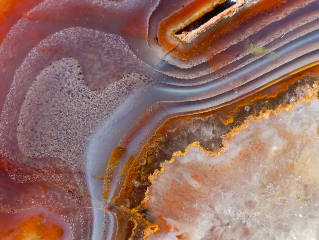 Polished One Side Red Shashe River Agate Slices x 6 From Shashe River, Zimbabwe - Toprock Gemstones and Minerals 