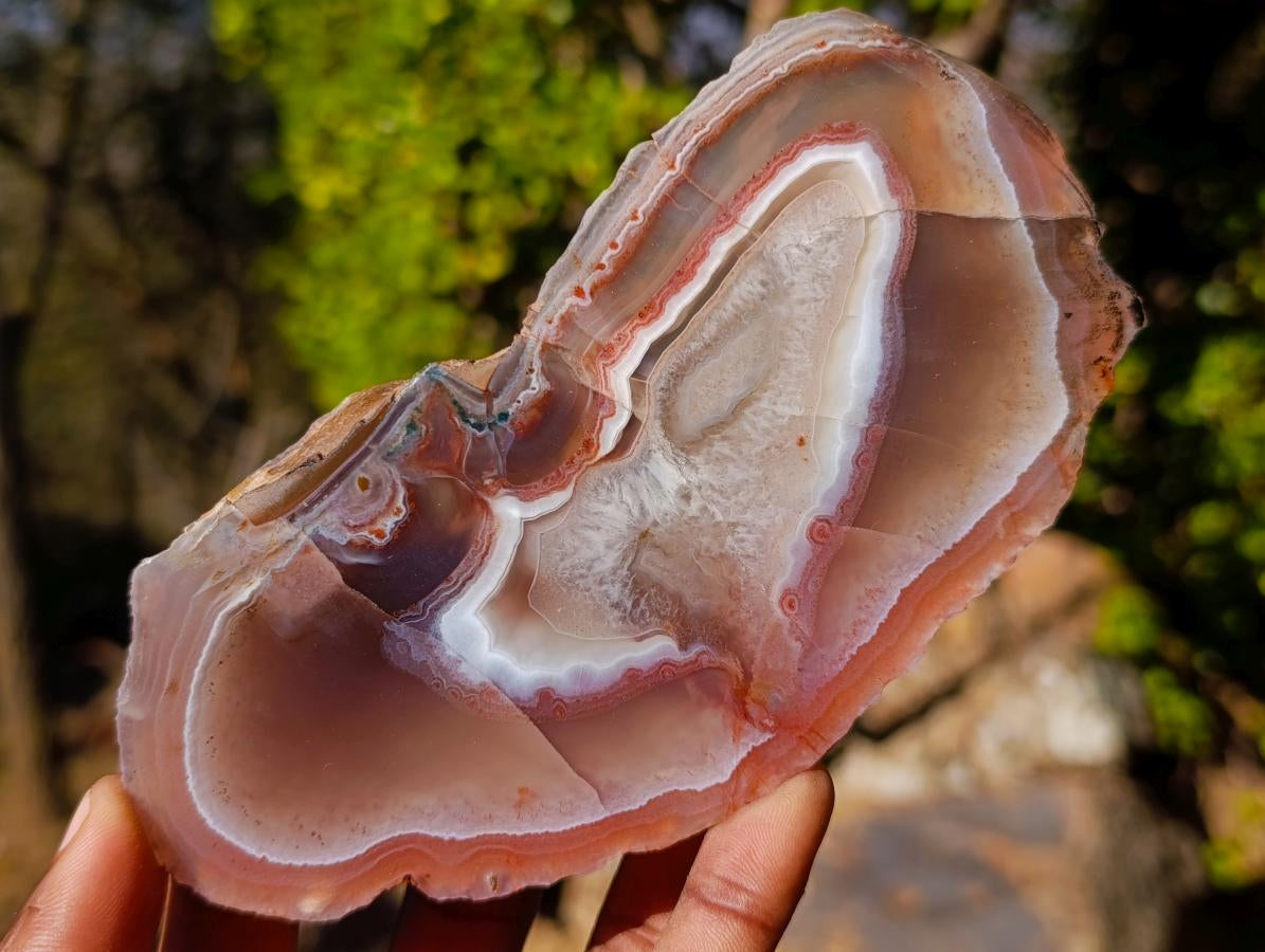 Polished One Side Red Shashe River Agate Slices x 6 From Shashe River, Zimbabwe - Toprock Gemstones and Minerals 