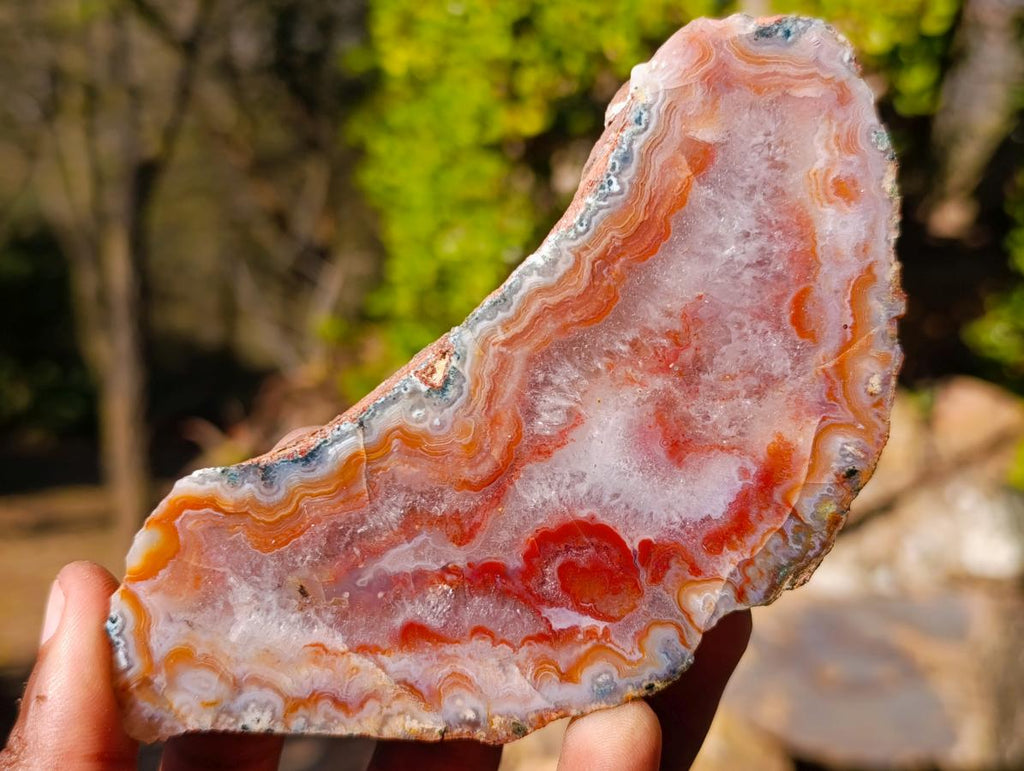 Polished One Side Red Shashe River Agate Slices x 6 From Shashe River, Zimbabwe - Toprock Gemstones and Minerals 