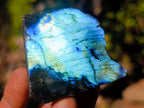 Polished on One Side Labradorite Slices x 35 From Madagascar - Toprock Gemstones and Minerals 