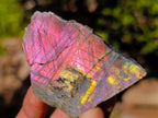 Polished on One Side Labradorite Slices x 35 From Madagascar - Toprock Gemstones and Minerals 