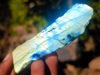 Polished on One Side Labradorite Slices x 35 From Madagascar - Toprock Gemstones and Minerals 