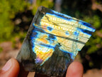 Polished on One Side Labradorite Slices x 35 From Madagascar - Toprock Gemstones and Minerals 