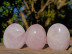 Polished Gemmy Rose Quartz Palm Stones x 29 From Madagascar - Toprock Gemstones and Minerals 