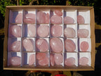 Polished Gemmy Rose Quartz Palm Stones x 29 From Madagascar - Toprock Gemstones and Minerals 