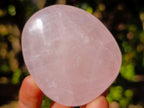 Polished Gemmy Rose Quartz Palm Stones x 29 From Madagascar - Toprock Gemstones and Minerals 