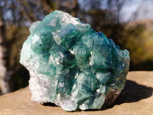 Natural Green Cubic Fluorite Specimens x 2 From Mandrosonoro, Madagascar - Toprock Gemstones and Minerals 