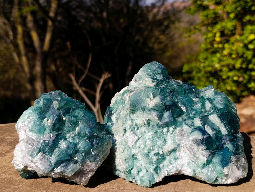 Natural Green Cubic Fluorite Specimens x 2 From Mandrosonoro, Madagascar - Toprock Gemstones and Minerals 