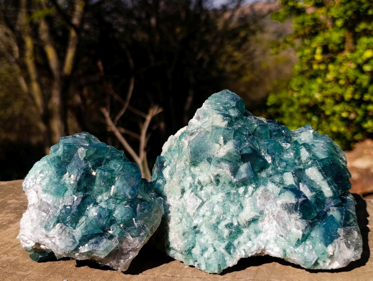 Natural Green Cubic Fluorite Specimens x 2 From Mandrosonoro, Madagascar - Toprock Gemstones and Minerals 