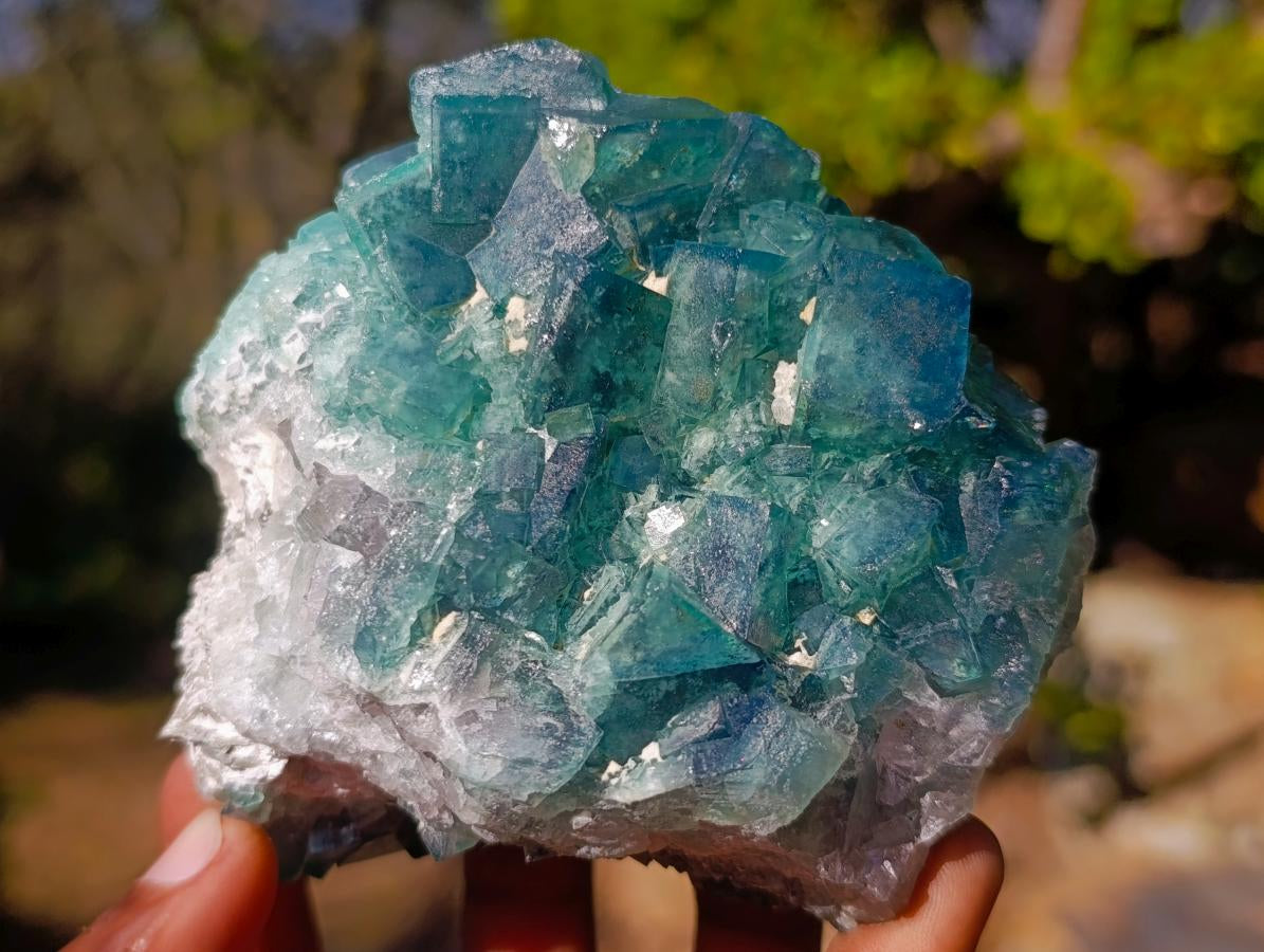 Natural Green Cubic Fluorite Specimens x 2 From Mandrosonoro, Madagascar - Toprock Gemstones and Minerals 