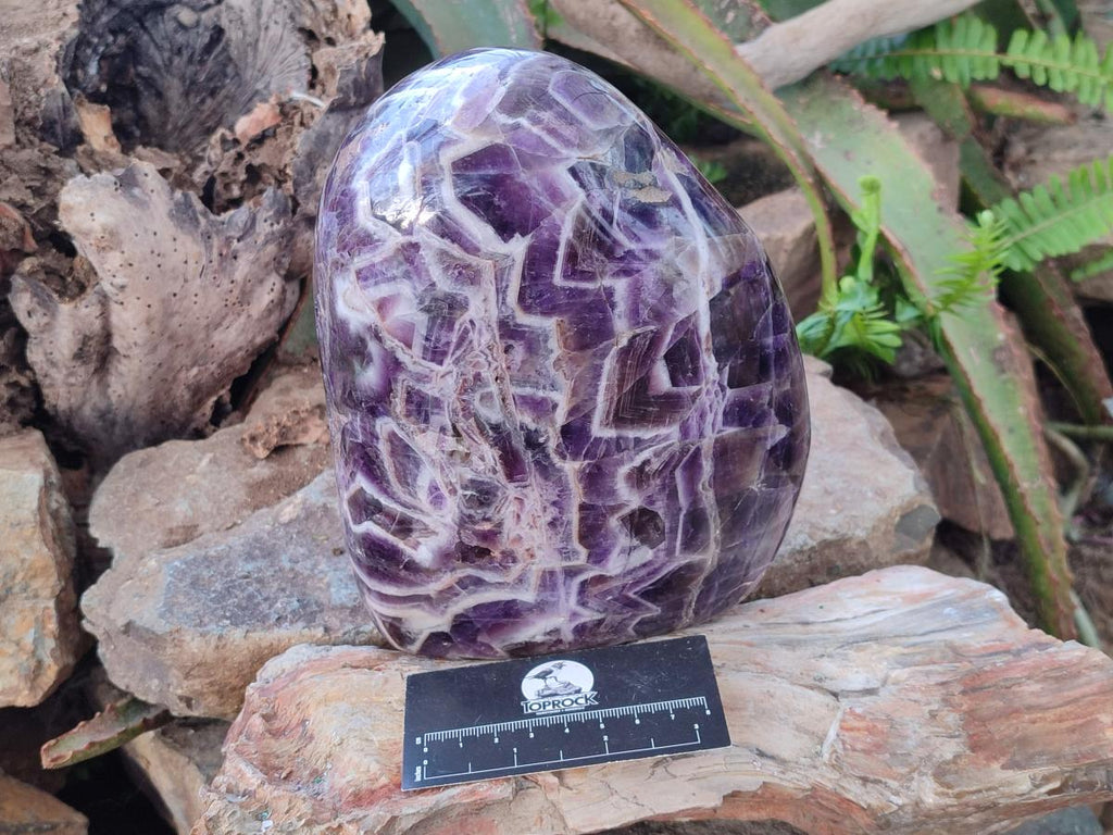 Polished Large Purple Chevron Amethyst Standing Display Piece x 1 From Madagascar - Toprock Gemstones and Minerals 