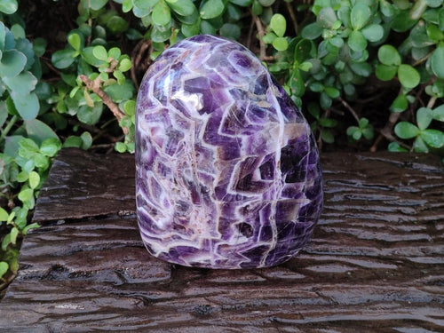 Polished Large Purple Chevron Amethyst Standing Display Piece x 1 From Madagascar - Toprock Gemstones and Minerals 