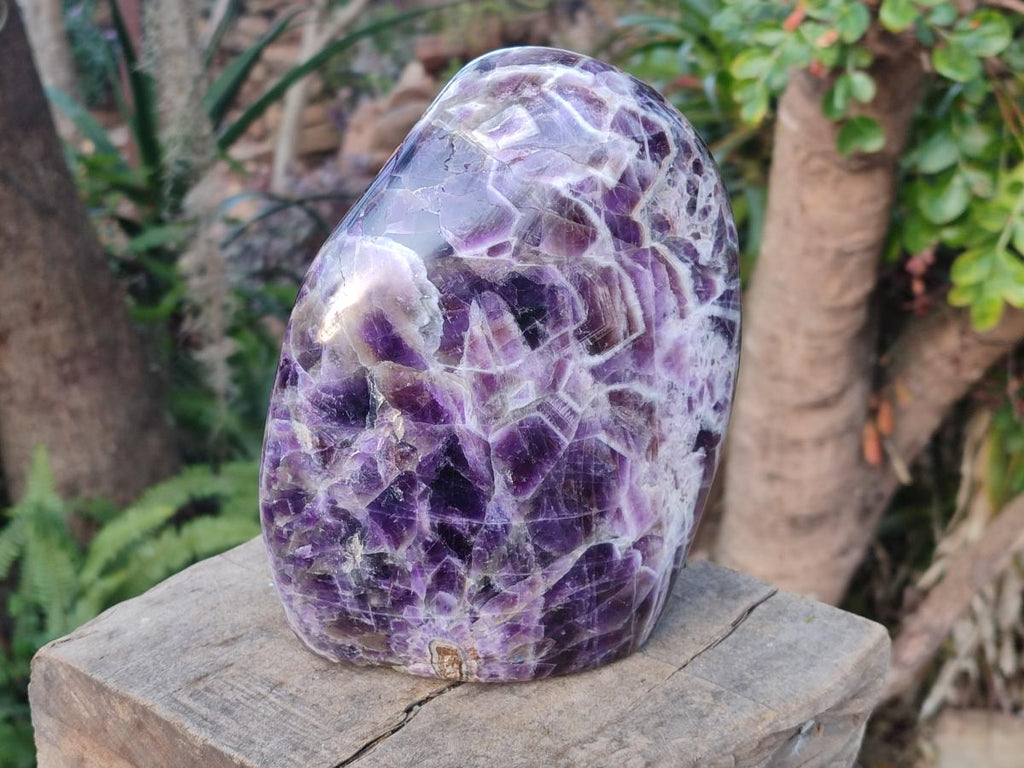 Polished Large Purple Chevron Amethyst Standing Display Piece x 1 From Madagascar - Toprock Gemstones and Minerals 