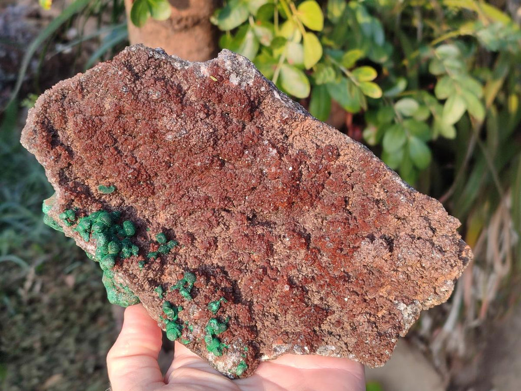 Natural Ball Malachite Specimens on Dolomite x 2 From Mindingi Mine, Congo - Toprock Gemstones and Minerals 