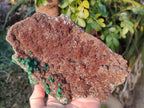 Natural Ball Malachite Specimens on Dolomite x 2 From Mindingi Mine, Congo - Toprock Gemstones and Minerals 