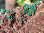 Natural Ball Malachite Specimens on Dolomite x 2 From Mindingi Mine, Congo - Toprock Gemstones and Minerals 