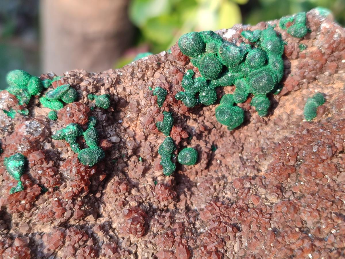 Natural Ball Malachite Specimens on Dolomite x 2 From Mindingi Mine, Congo - Toprock Gemstones and Minerals 