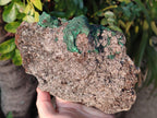 Natural Ball Malachite Specimens on Dolomite x 2 From Mindingi Mine, Congo - Toprock Gemstones and Minerals 