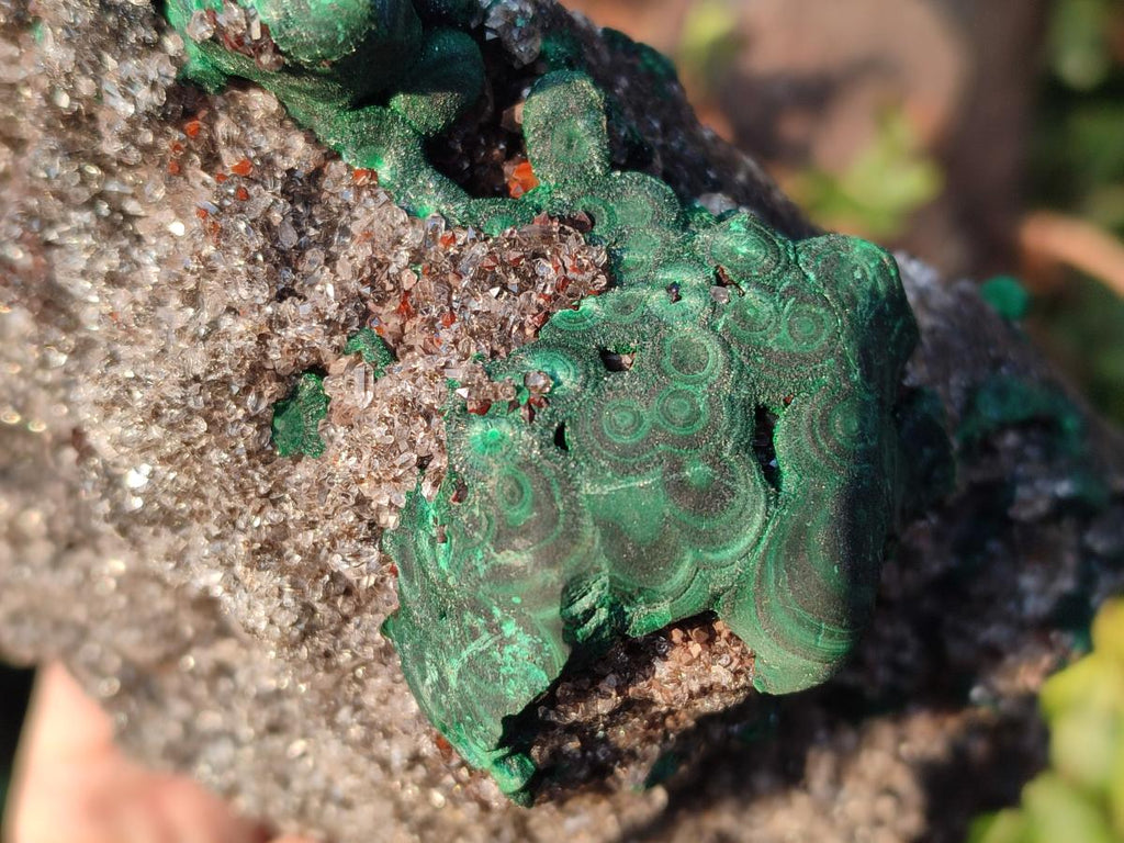 Natural Ball Malachite Specimens on Dolomite x 2 From Mindingi Mine, Congo - Toprock Gemstones and Minerals 