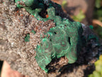 Natural Ball Malachite Specimens on Dolomite x 2 From Mindingi Mine, Congo - Toprock Gemstones and Minerals 