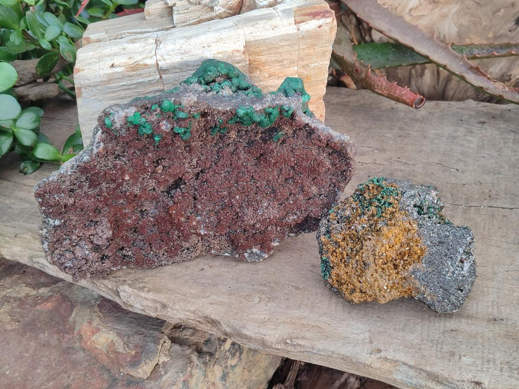 Natural Ball Malachite Specimens on Dolomite x 2 From Mindingi Mine, Congo - Toprock Gemstones and Minerals 