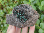 Natural Ball Malachite Specimens on Dolomite x 2 From Mindingi Mine, Congo - Toprock Gemstones and Minerals 