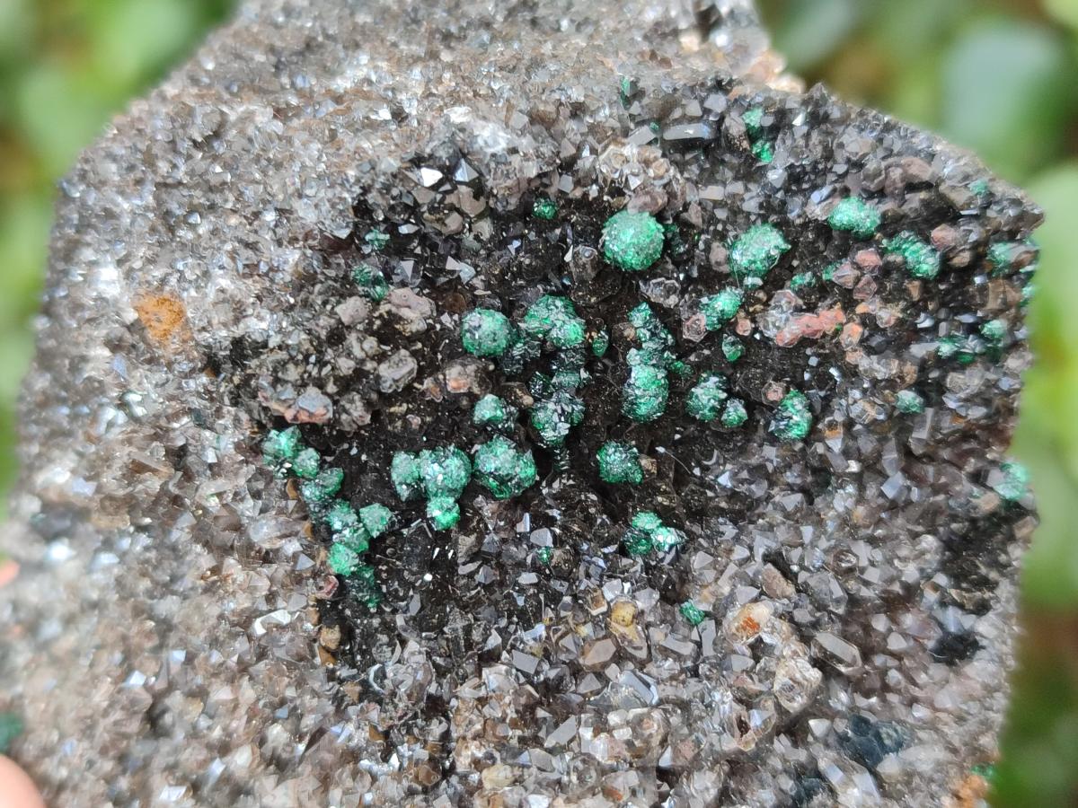 Natural Ball Malachite Specimens on Dolomite x 2 From Mindingi Mine, Congo - Toprock Gemstones and Minerals 