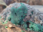 Natural Ball Malachite Specimens on Dolomite x 2 From Mindingi Mine, Congo - Toprock Gemstones and Minerals 