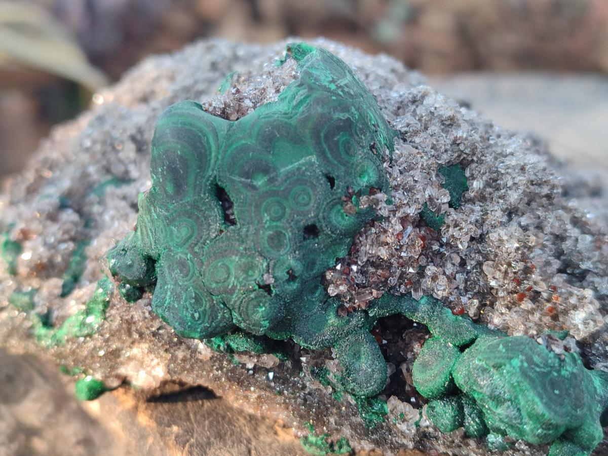 Natural Ball Malachite Specimens on Dolomite x 2 From Mindingi Mine, Congo - Toprock Gemstones and Minerals 