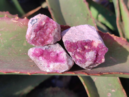 Natural Mini Spherocobaltite Specimens x 20 From Musonoi Mine, Congo - Toprock Gemstones and Minerals 